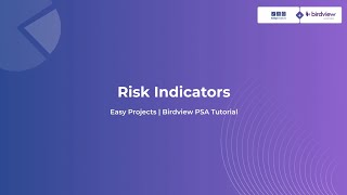 Project Risk Indicators - Birdview & Easy Projects Tutorial