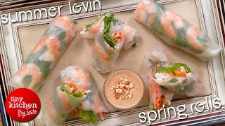 Summer Lovin' Spring Rolls // Tiny Kitchen Big Taste