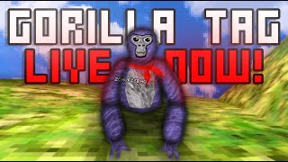 🔴Gorilla Tag, hitting 20k with you. Live code!🔴