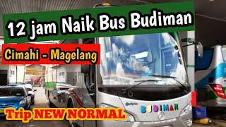 12 Jam Naik Bus Budiman || Perjalanan Cimahi - Magelang Trip NEW NORMAL