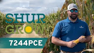 Standout Seed of 2024: SG7244PCE