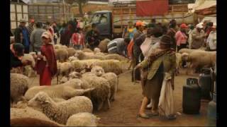 Saquisili- authentic rural market Ecuador