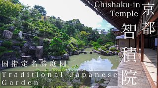 【京都の庭園】智積院｜Chishaku-in 【Kyoto Japanese Garden】