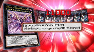 When U Face Maxx "C" Challenge, But New Raidraptor Support Is Here! Yugioh Master Duel