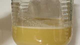 Homemade ghee recipe from butter