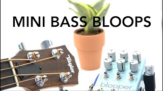 Taylor GS-Mini Bass with Chase Bliss Blooper - Looping Performance!