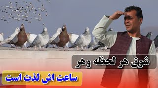 شوق هر لحظه وهر ساعت اش لذت است /0116Afghan Shawqi