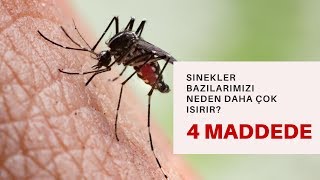 Sivrisinekler Bazı İnsanları NEDEN DAHA ÇOK ISIRIR ?   (4 Maddede Açıkladık)