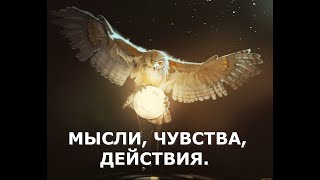 МЫСЛИ, ЧУВСТВА, ДЕЙСТВИЯ. ТАРО РАСКЛАД.