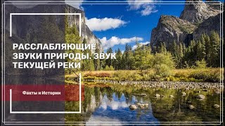 Расслабляющие звуки природы. Звук текущей реки ✦ Пение Птиц ✦ Relaxing Sounds