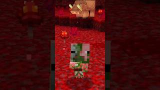 Baby Pigman!!! (Poi Poi Poi meme) #minecraft