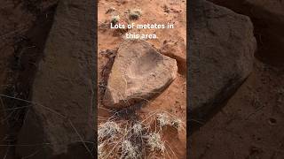 Another one of the metates I found today while looking for arrowheads. #hiking #arrowheads #hikeaz