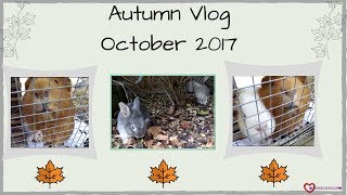 Autumn Vlog October 2017