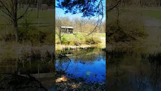 Reflections 🏞️