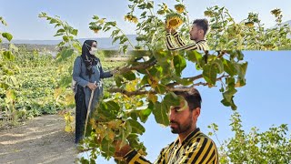 Resistance of mother and child in the lentil farm: to buy the necessities of life# parva