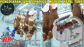 BEGINI PROSES PRODUKSI PENGOLAHAN BISNIS DAGING SAPI DAN KAMBING MODERN SECARA ISLAMI DI TURKI