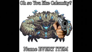 Oh you like Calamity Mod? Name Every Item