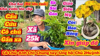 20-10☎️0775739717 gặp Chú 2🌲Chủ vườn đã lớn tuổi cần bán lô mai giá 25k SB sài gòn-Giảo như ý🌲