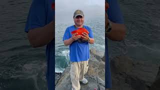 #fishing Redondo beach ca#garibaldi #catch and release