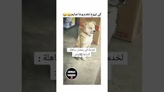 كي تروح تخدم و نت صايم🤣🤣