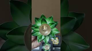 Beautiful Brass Diya in green colour at Zee Metal Collection #diyadecoration #diyadecorationideas