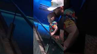 BABY Amazed by Black Tip Sharks at AQUARIUM! #baby #sharks #aquarium