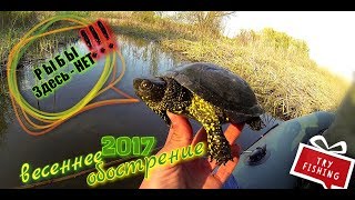 весеннее обострение 2017 (первый раз на спиннинг)