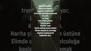 Nazım Hikmet Ran - Bir Yolculuk Üstüne #nazımhikmetran  #şair #edebiyat #şiir #yazarlar #viralvideo