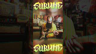 Sublime Badfish Guitar Solo? #shorts #guitar #guitarsolo #guitarcover