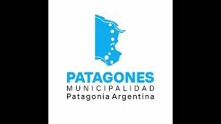 INFORMACION OFICIAL DE PATAGONES