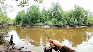 MANCING KAKAP PUTIH DI SPOT BAKAU