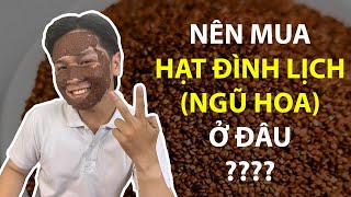 Hạt Ngũ Hoa Mua Ở Đâu - Hạt Đình Lịch To Sạch Bụi Không Chất Bảo Quản | Bách Hoá Xe Lam