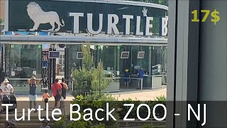 Turtle 🐢 Back ZOO - West Orange, NJ | Must visit with Kids in this summer if you are in New Jersey