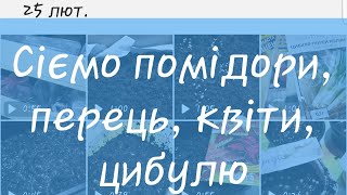 Як сіяти правильно на розсаду