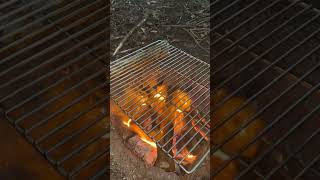 Cooking with the dog #campinglife #bushcrafting #bushcraftskills #dog #outdoorskills