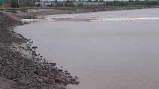 Tidal bore @ Moncton. June 8, 2020