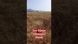 SON GÜNLER TAHMİNLERİ ALALIM