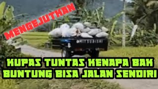 Mobil L300 bak buntung jalan sendiri