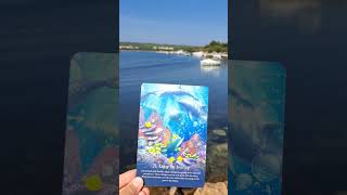 💙🧿💙#tarotcitanje #ljubav #tarot #tarotreading #tarotkarte #gledanjeukarte #