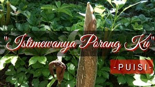 ISTIMEWANYA PORANG KU !!PUISI