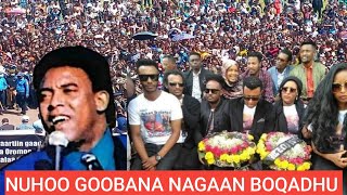 Haasawa Lammaa Magarsaa gaggeessa gootaa #NUHOO GOOBANA magalaa adaamatti