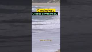 O Majestoso Oceano Selvagem p12 #vidaselvagem