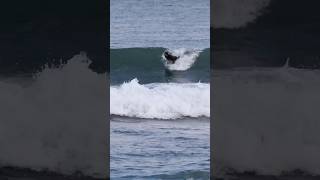 Surprisingly punchy wedge #surf