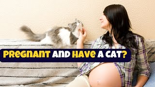 Pregnant And Have A Cat? |  Here's How To Keep Yourself Safe!