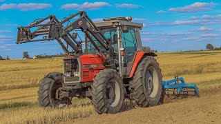 ⚡️Gruberowanie Fergusonem⚡️Piękny dźwięk Masseya⚡️MF 3095&Lemken⚡️