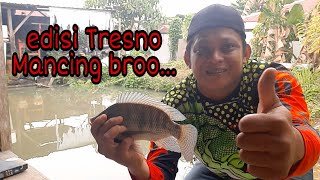 Lama gak Mancing di spot lama strikenya susah susah gampang