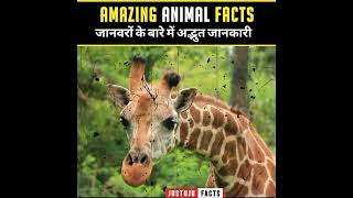 Insane And  Strange Facts About Animals 🦓 | Crazy Facts | #shorts #justujufacts