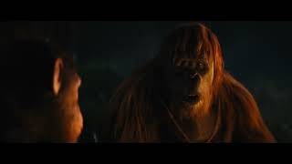 Kingdom Of The Planet Of The Apes | Together