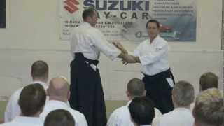 Aikido: Christan TISSIER in Budapest 2013 (teaching)