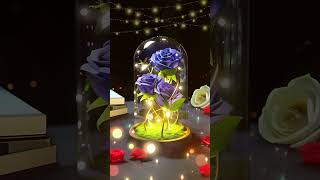 Valentines Day red rose blue enchantress